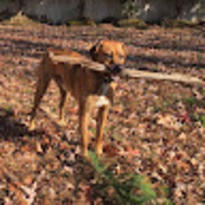 Meet your Posher, Tatjana